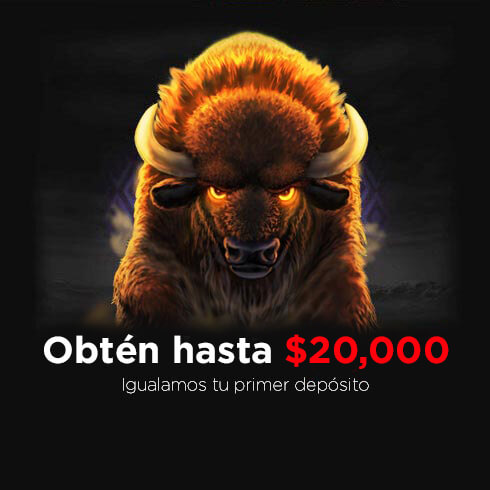 Obtén hasta $20,000: igualamos tu primer depósito en casino